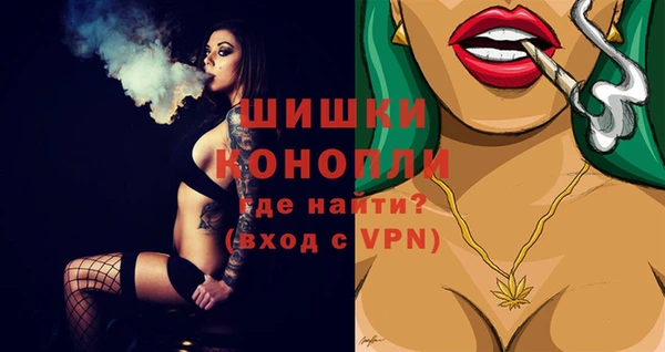 ГАЛЛЮЦИНОГЕННЫЕ ГРИБЫ Верея