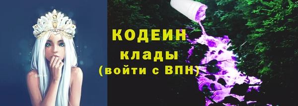 ГАЛЛЮЦИНОГЕННЫЕ ГРИБЫ Верея