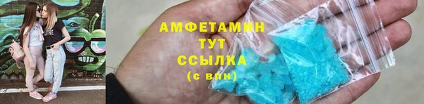 ГАЛЛЮЦИНОГЕННЫЕ ГРИБЫ Верея
