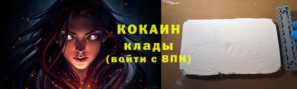 ГАЛЛЮЦИНОГЕННЫЕ ГРИБЫ Верея