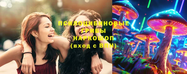 ГАЛЛЮЦИНОГЕННЫЕ ГРИБЫ Верея
