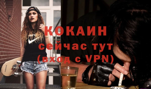 ГАЛЛЮЦИНОГЕННЫЕ ГРИБЫ Верея