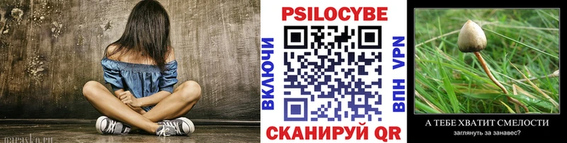 закладка  Цоци-Юрт  это какой сайт  Галлюциногенные грибы мицелий 